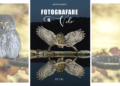 Fotografare il volo Jacopo Rigotti edizioni Saturnia