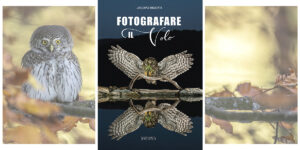 Fotografare il volo Jacopo Rigotti edizioni Saturnia