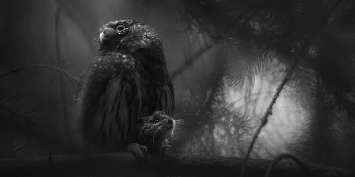 GDT European Wildlife Photographer of the Year 2025 vincitori