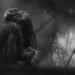 GDT European Wildlife Photographer of the Year 2025 vincitori