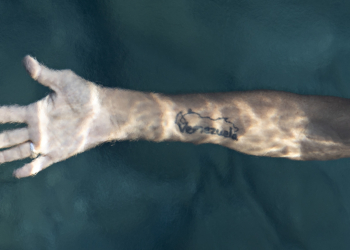 Migrazioni. XVI Premio IILA-Fotografia. Mostra vincitori Museo Roma in Trastevere