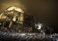 Vincitori Wildlife Photographer of the Year 2025