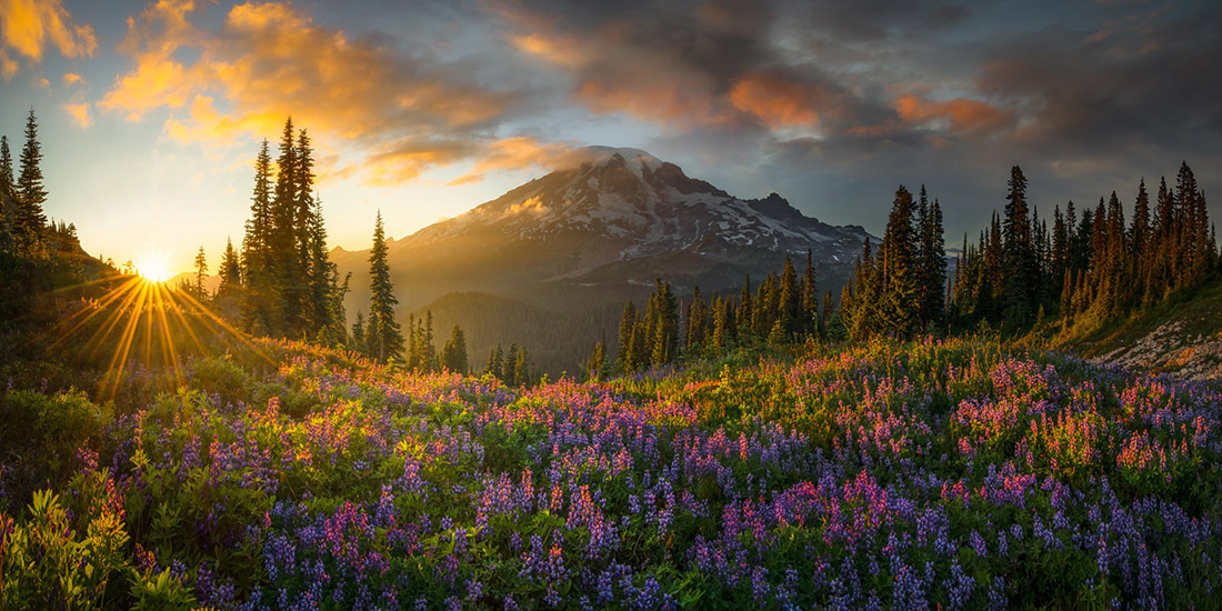 © Chris Byrne, vincitore premio Curators Award, Epson International Pano Awards 2025