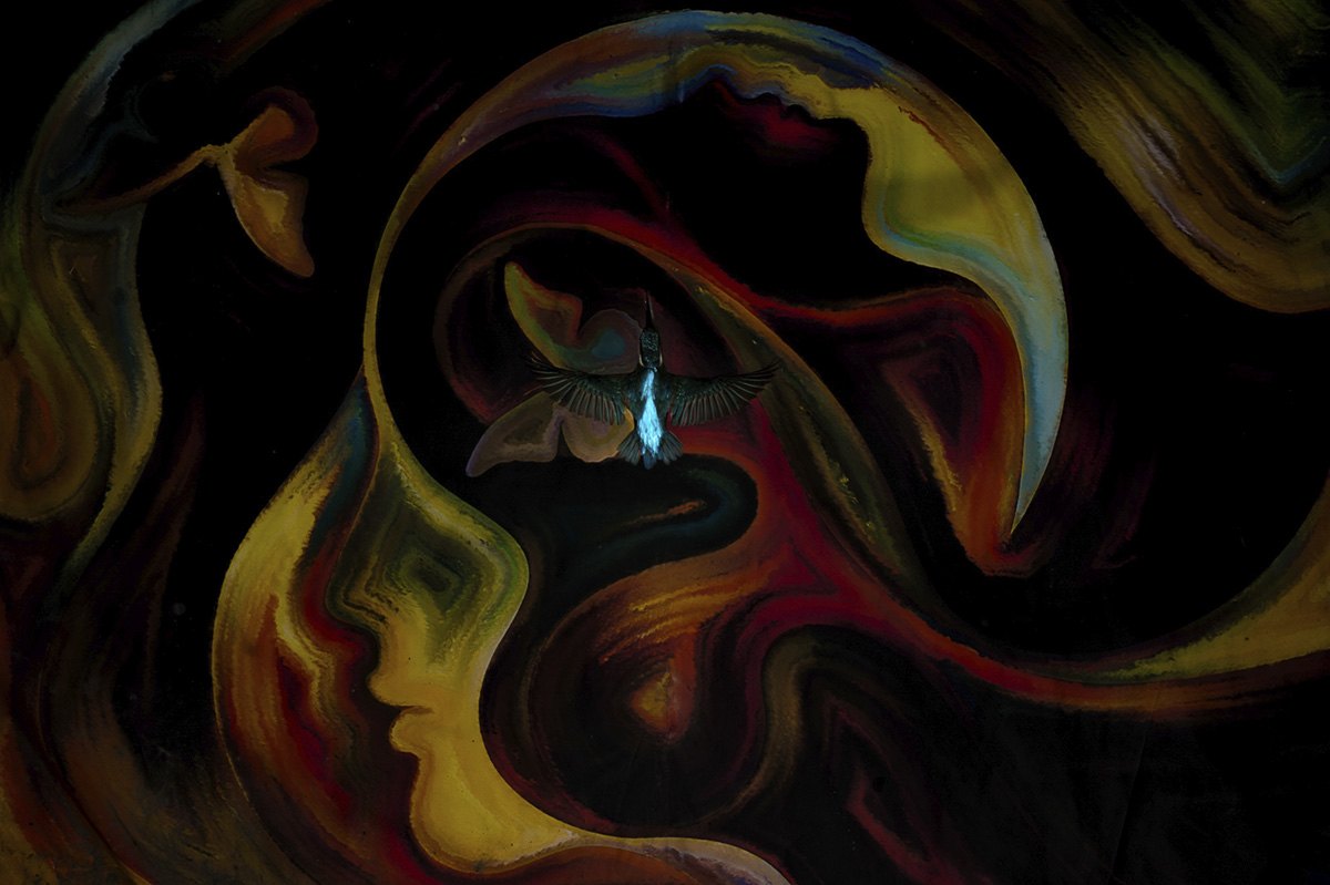 © Philippe Egger, Photo Art. 1° posto categoria Creative Perspectives, Bird Photographer of the Year 2025