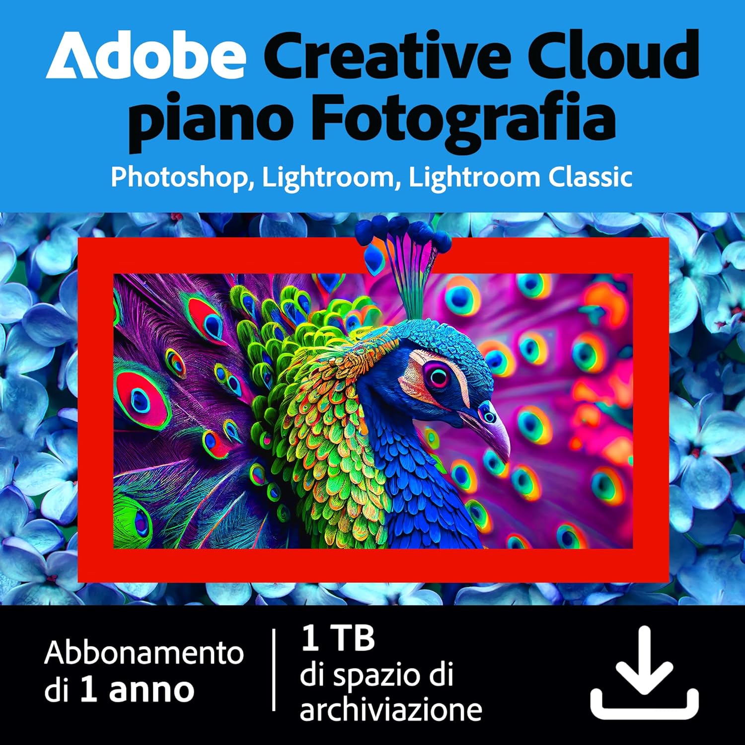 Creative Cloud Photography plan | Standard 1TB | 1 Anno