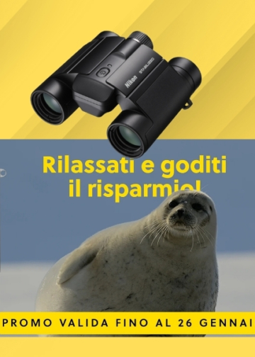 Nikon scalda l’inverno: sconti fino a 1.000 euro su fotocamere, ottiche e prodotti Sport Optics