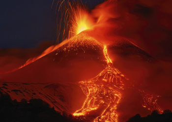 Vincitori concorso fotografico HIPA 2025