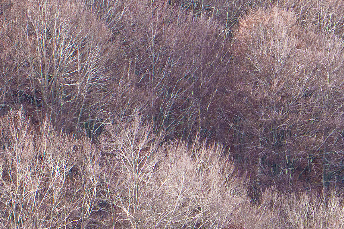 110mm - centro f/6,3