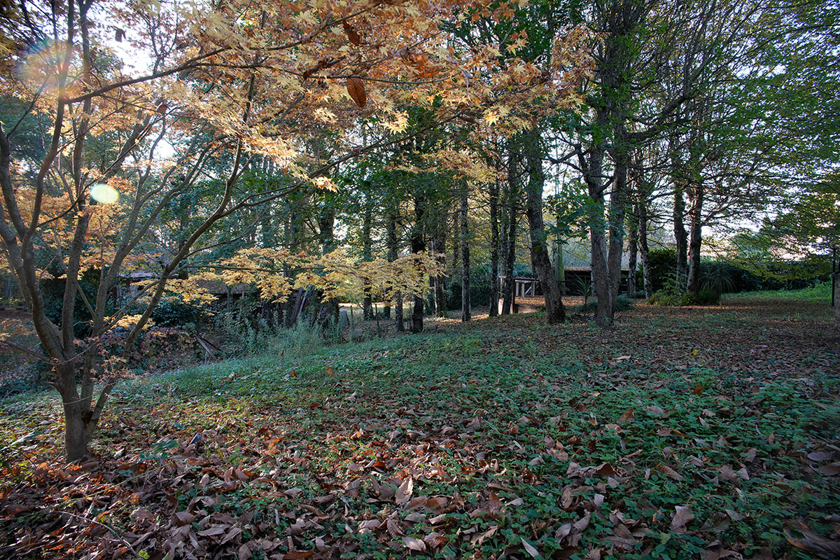 20mm - lente non schermata