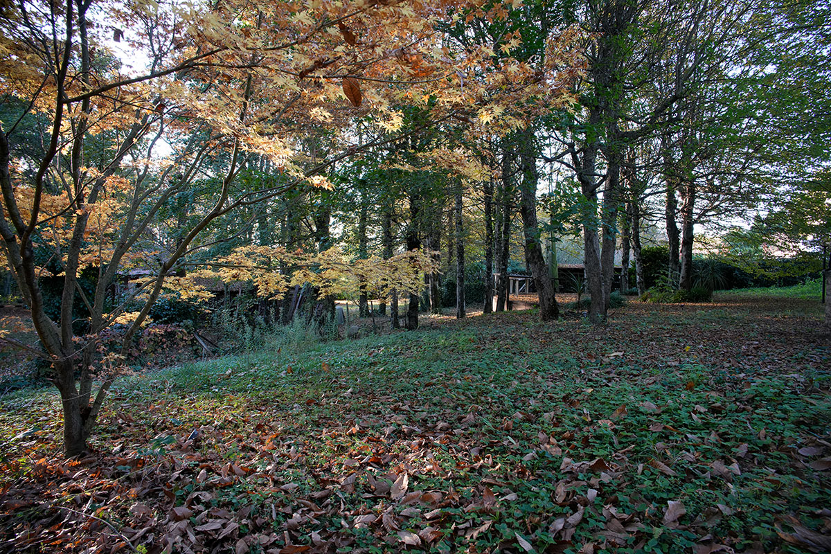 20mm - lente schermata