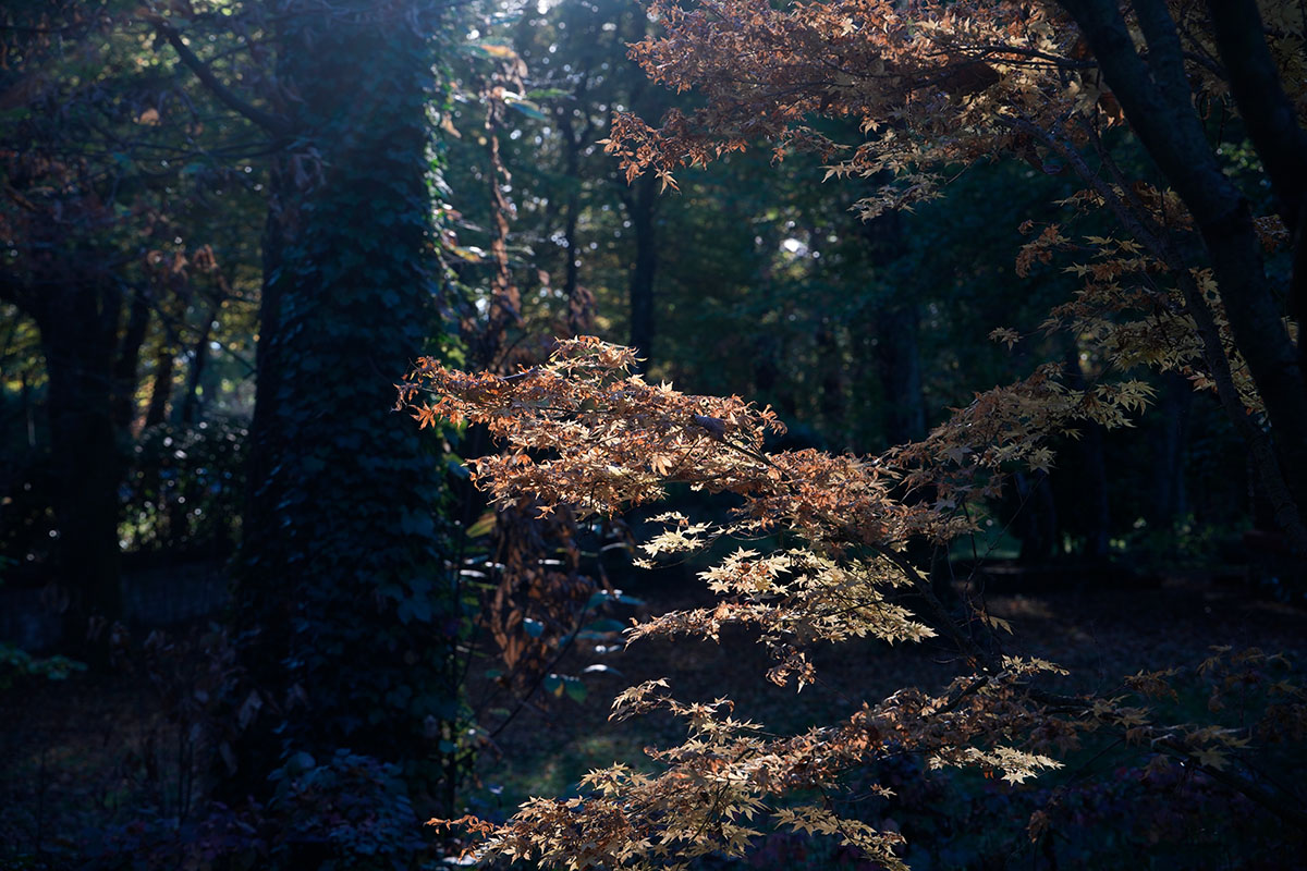 89mm - lente non schermata