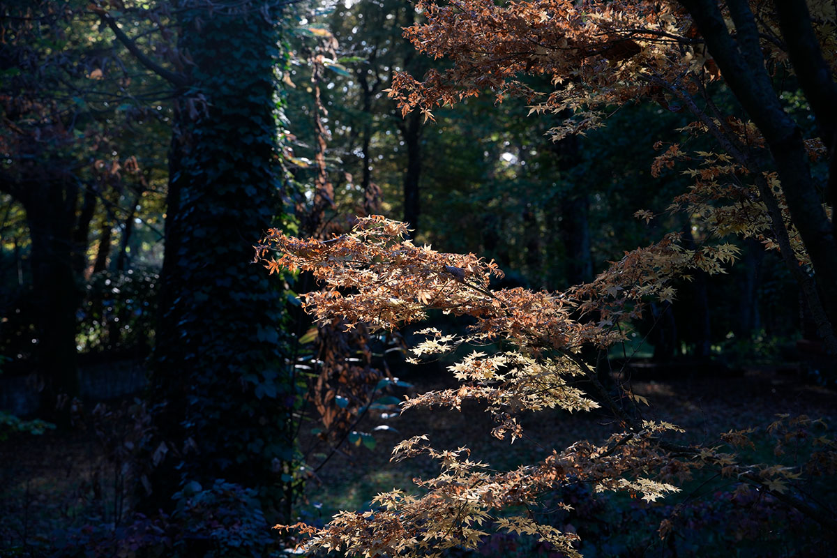 89mm - lente schermata