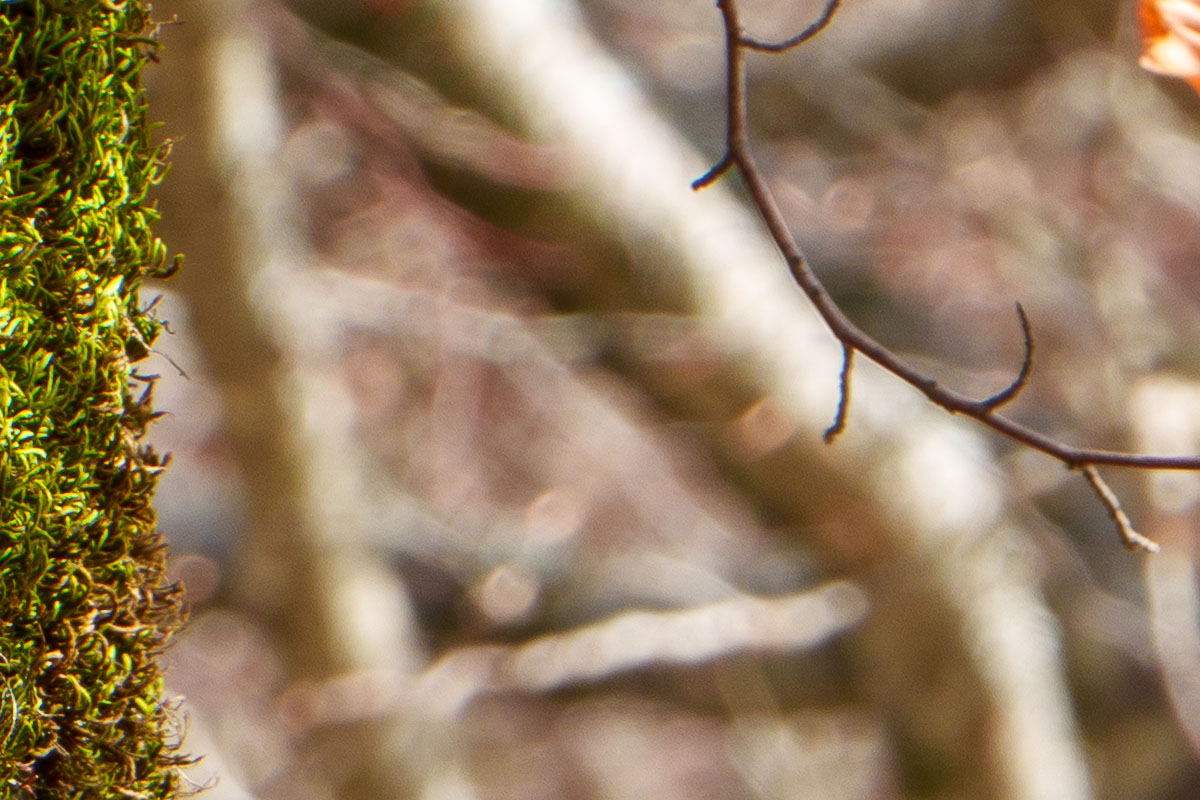 135mm f/11 - dettaglio