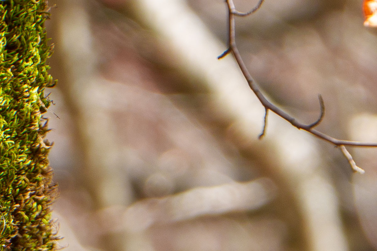 135mm f/6,3 - dettaglio