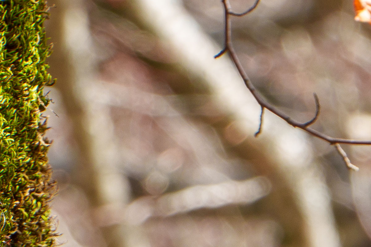 135mm f/8 - dettaglio