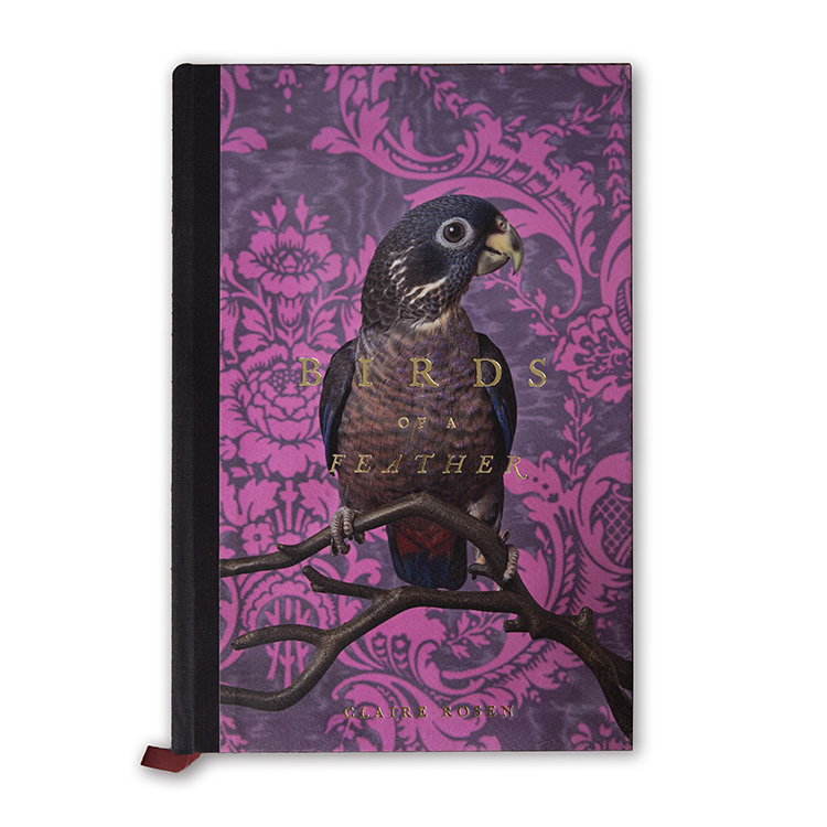 Birds of a Feather. Claire Rosen