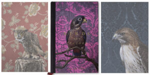 Birds of a Feather Claire Rosen libro fotografico uccelli