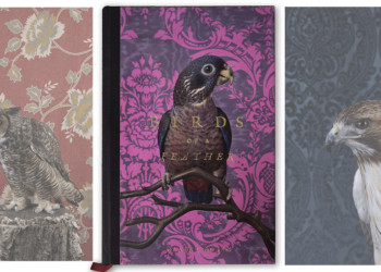 Birds of a Feather Claire Rosen libro fotografico uccelli