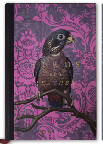 Birds of a Feather Claire Rosen libro fotografico uccelli