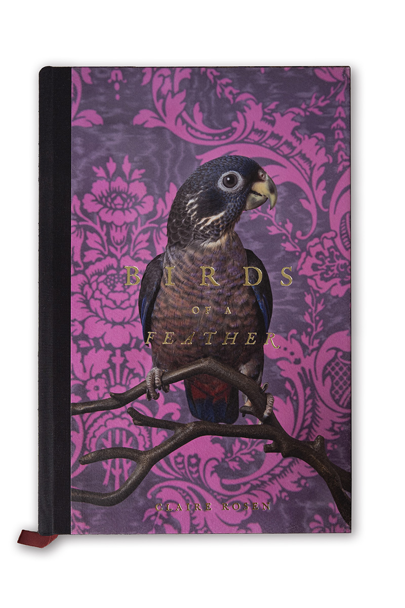 Cover libro Birds of a Feather Claire Rosen