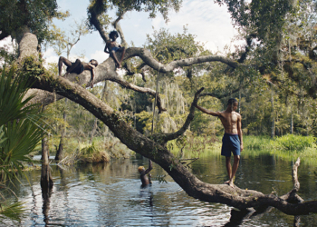 Josh Aronson Florida Boys