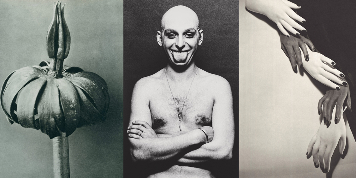 Fotosintesi. Fotografie dalla collezione Carla Sozzani mostra fotografica