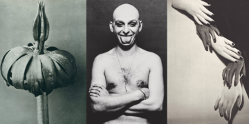 Fotosintesi. Fotografie dalla collezione Carla Sozzani mostra fotografica