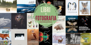 Libri fotografia naturalistica da regalare a Natale 2025