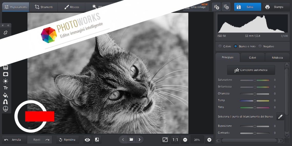 Photoworks: software di sviluppo RAW e conversione in bianco e nero alla portata di tutti - Evidenza