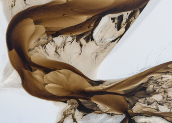 Vincitori International Landscape Photographer of the Year 2025