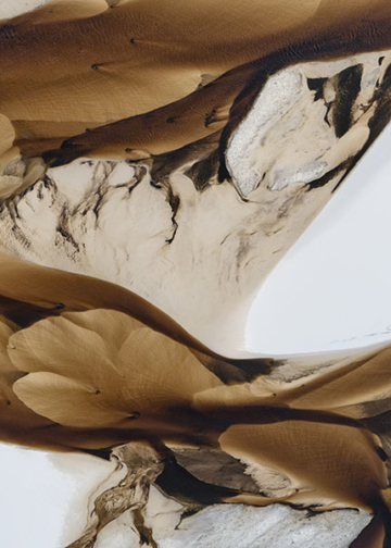 Vincitori International Landscape Photographer of the Year 2025