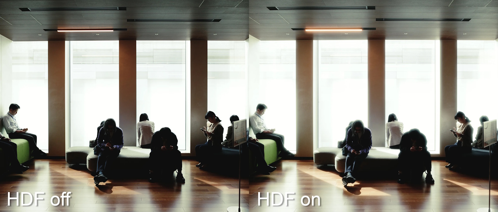 Ricoh GR IV HDF esempio