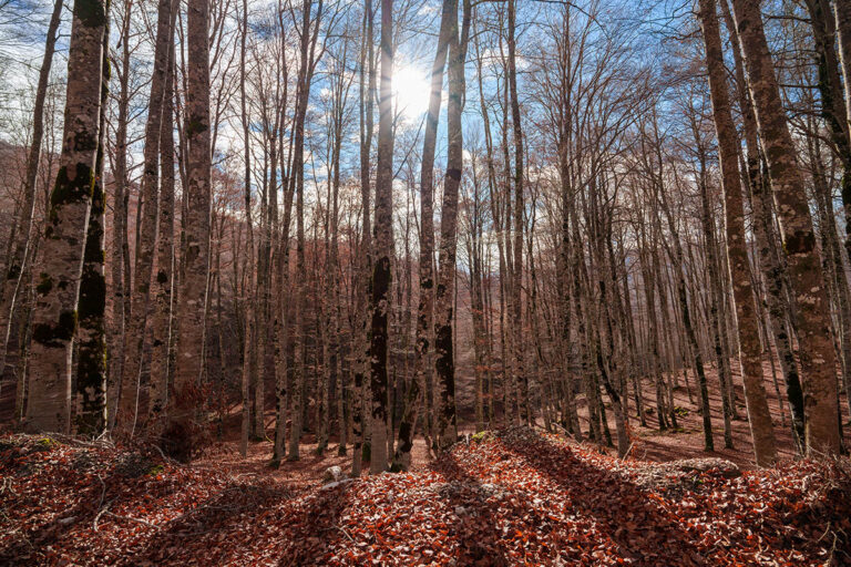 20mm 160 f8 ISO 100 low