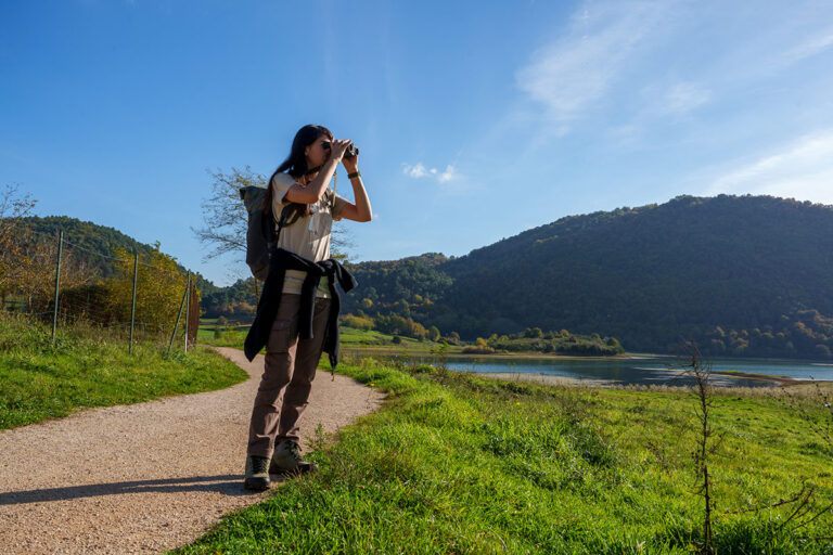 test sigma 20-200mm DG 33mm 125 f13 ISO 100 low