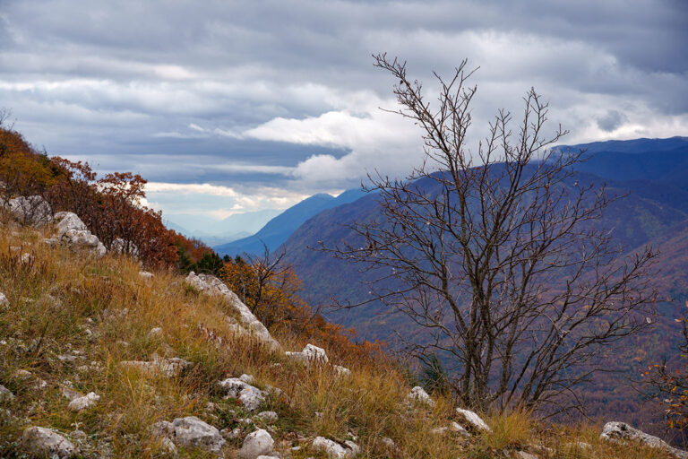 test sigma 20-200mm DG 70mm 160 f8 ISO 100 low