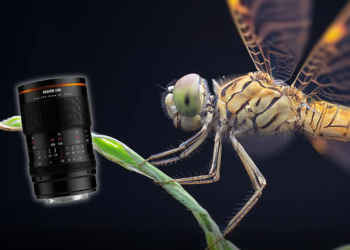 Il Brightin Star MF 60mm f/2.8 II 2X Macro si propone come alternativa economica per la fotografia ravvicinata, con rapporto di riproduzione 2:1. - Evidenza