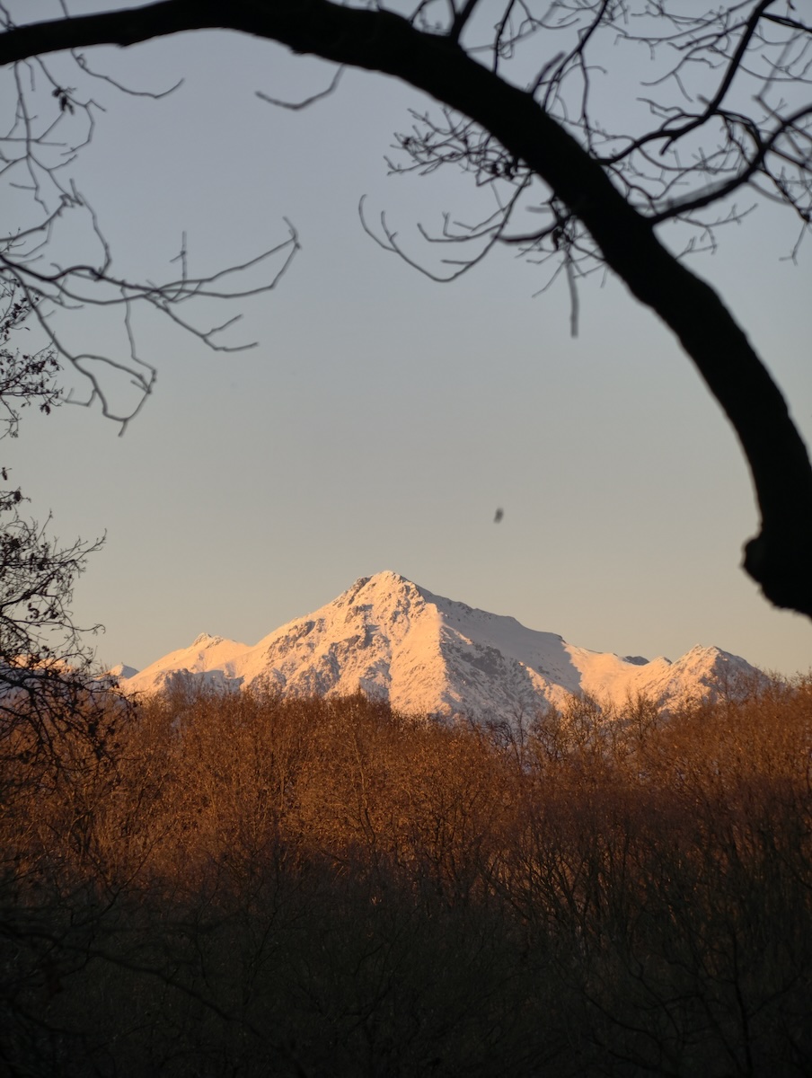 La Riserva Naturale delle Baragge (Candelo - BI) ha messo in mostra le ottime doti fotografiche di Vivo X300 Pro con il teleconverter Zeiss.