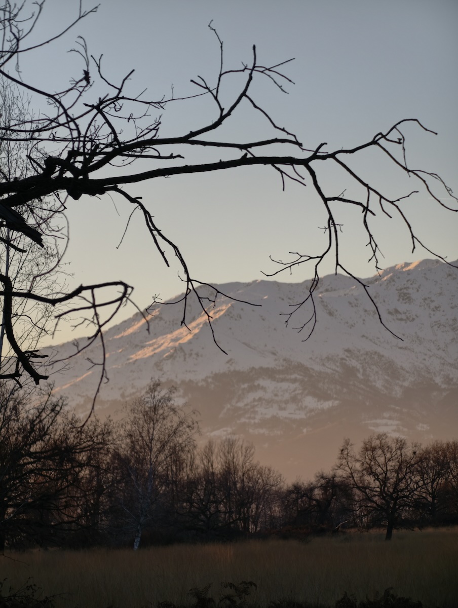 La Riserva Naturale delle Baragge (Candelo - BI) ha messo in mostra le ottime doti fotografiche di Vivo X300 Pro con il teleconverter Zeiss.