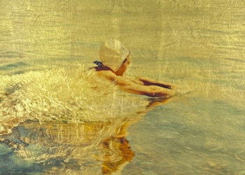 Lee Shulman, Golden Memories Anonymous Project