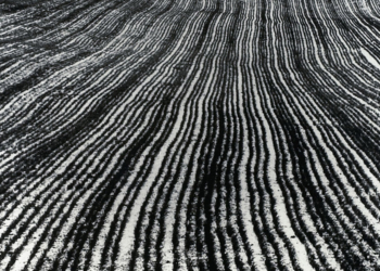 Mario Giacomelli, mostra fotografica I tempi dello sguardo. 90 anni di fotografia italiana in due atti