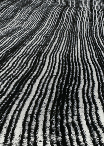 Mario Giacomelli, mostra fotografica I tempi dello sguardo. 90 anni di fotografia italiana in due atti