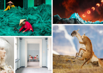 Chromatic Awards 2026: dieci anni di straordinarie fotografie a colori