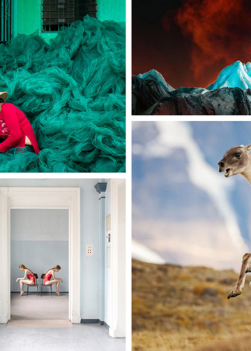 Chromatic Awards 2026: dieci anni di straordinarie fotografie a colori