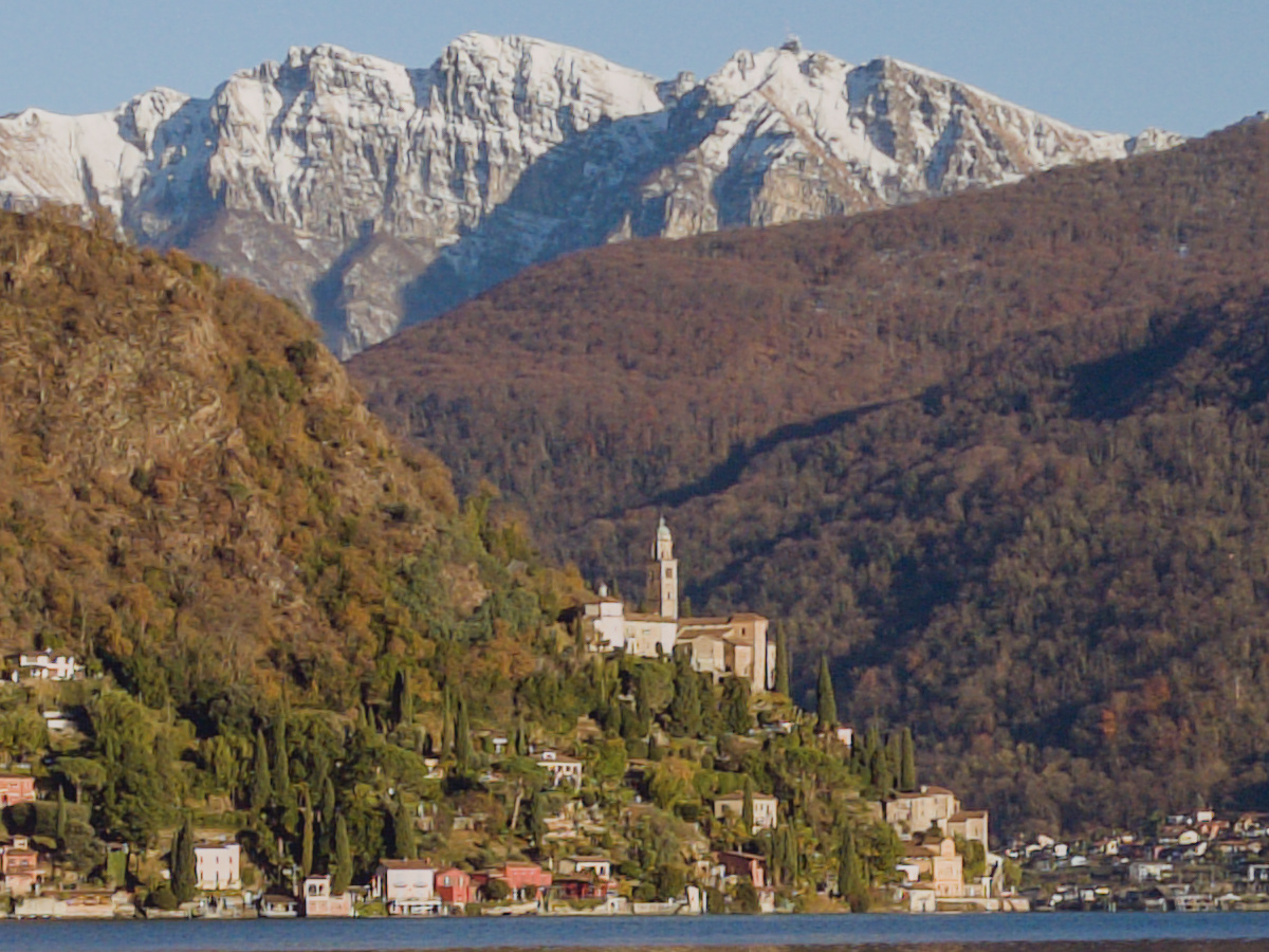 Vivo X300 Pro: scatto a 24mm con risoluzione 50 megapixel, particolare al 100%. File RAW .DNG sviluppato con Darktable.