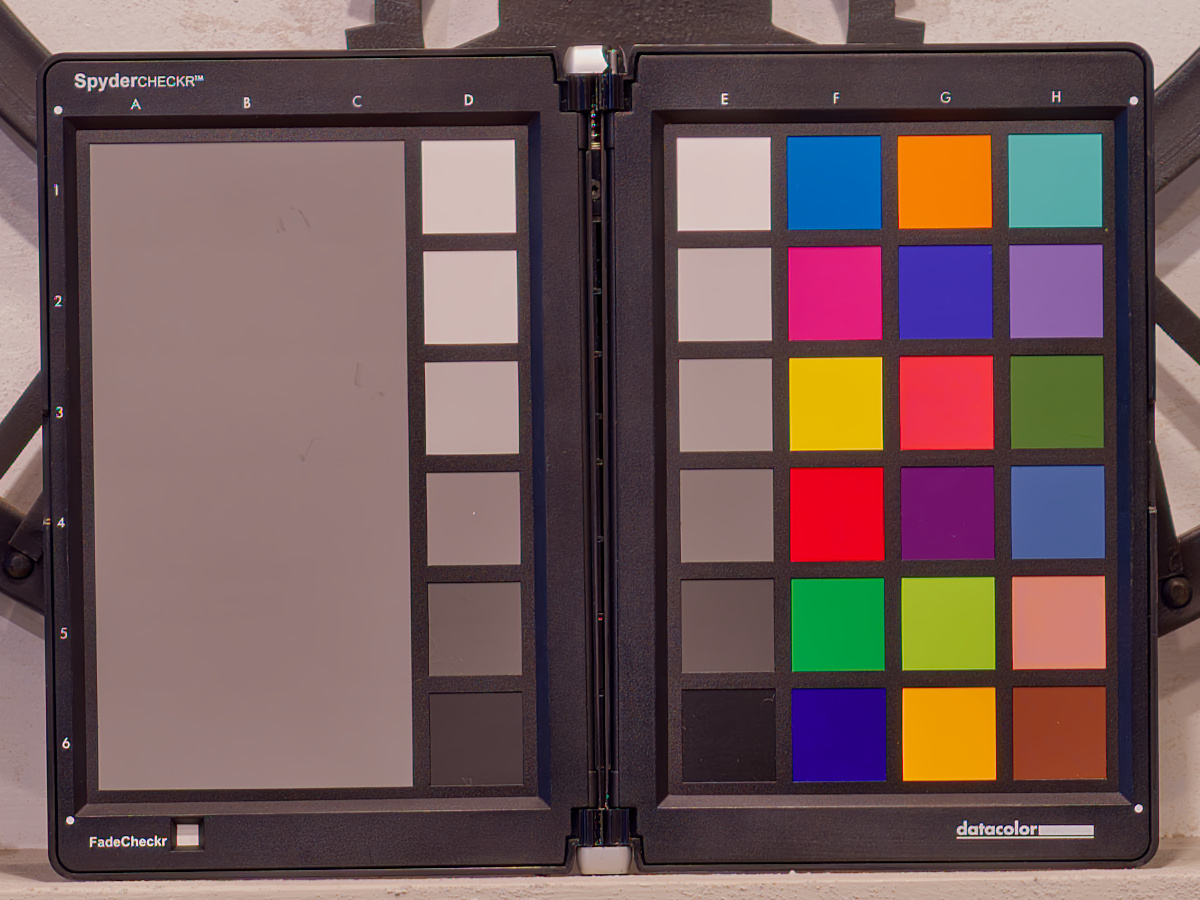 Vivo X300 Pro: scatto a 85mm con risoluzione 12,5 megapixel, particolare al 100%. File SuperRAW (HDR) .DNG sviluppato con Affinity.