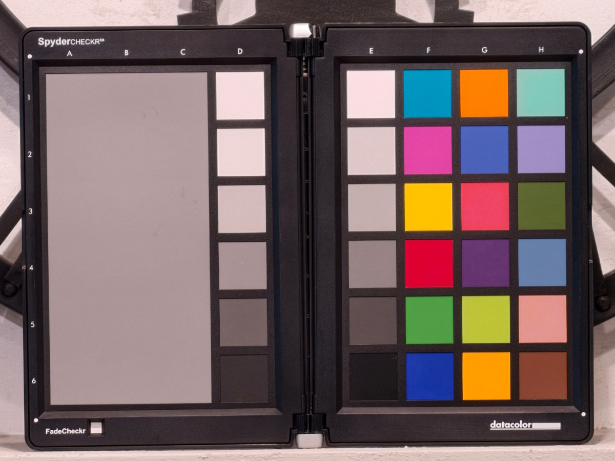 Vivo X300 Pro: scatto a 85mm con risoluzione 12,5 megapixel, particolare al 100%. File SuperRAW (HDR) .DNG sviluppato in camera dallo smartphone.