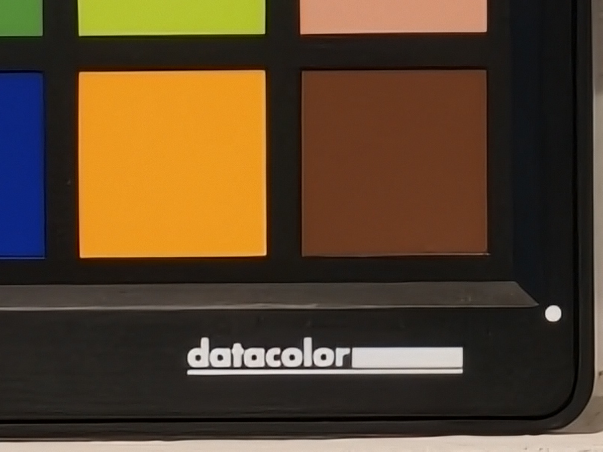 Vivo X300 Pro: scatto a 85mm con risoluzione 200 megapixel, particolare al 100%.