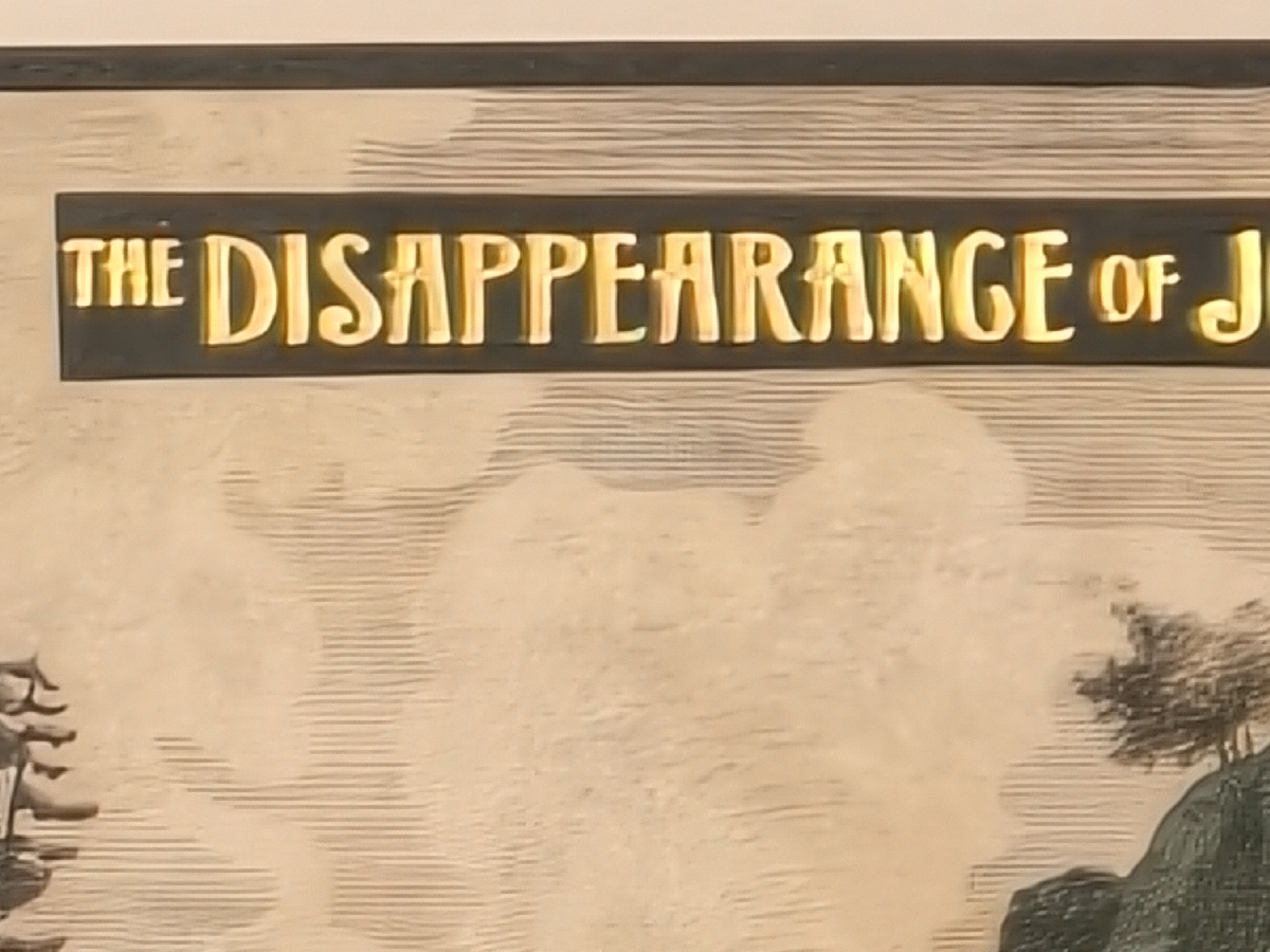 Vivo X300 Pro: scatto a 85mm con risoluzione 200 megapixel, particolare al 100%.