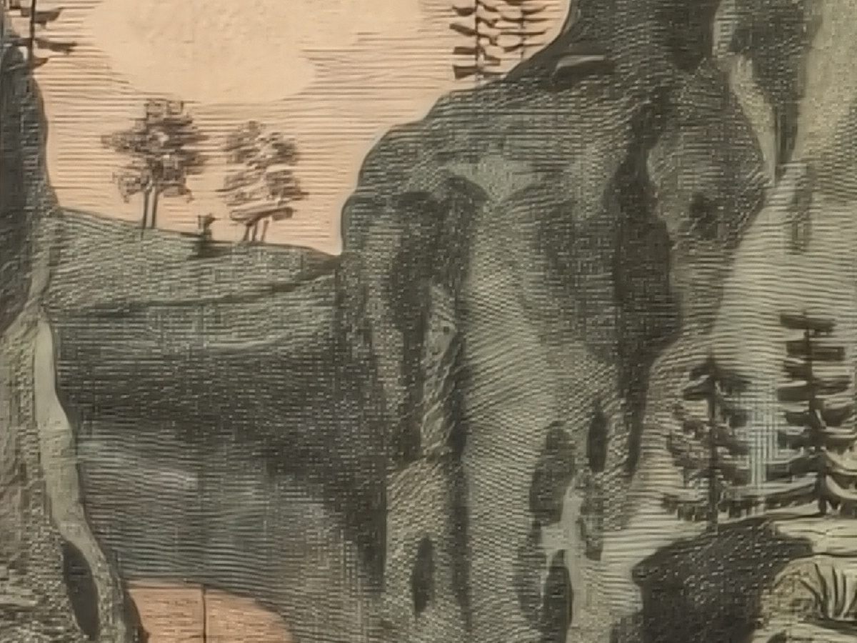 Vivo X300 Pro: scatto a 85mm con risoluzione 200 megapixel, particolare al 100%.