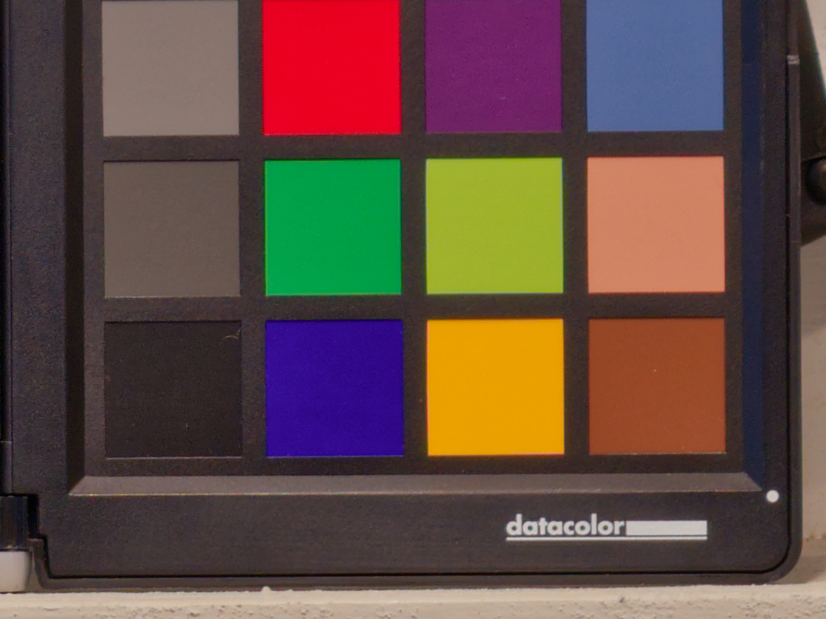 Vivo X300 Pro: scatto a 85mm con risoluzione 50 megapixel, particolare al 100%. File SuperRAW (HDR) .DNG sviluppato con Affinity.